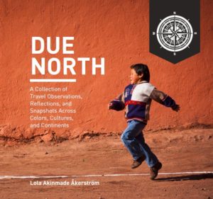 Lola Akinmade's book Due North